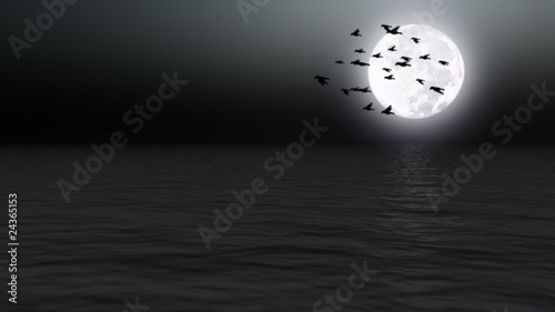 Birds flying over calm sea with moon - Nature - Night