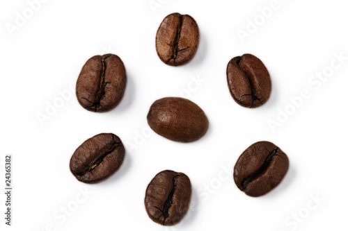 eine kaffeebohne von kaffeebohnen umkreist