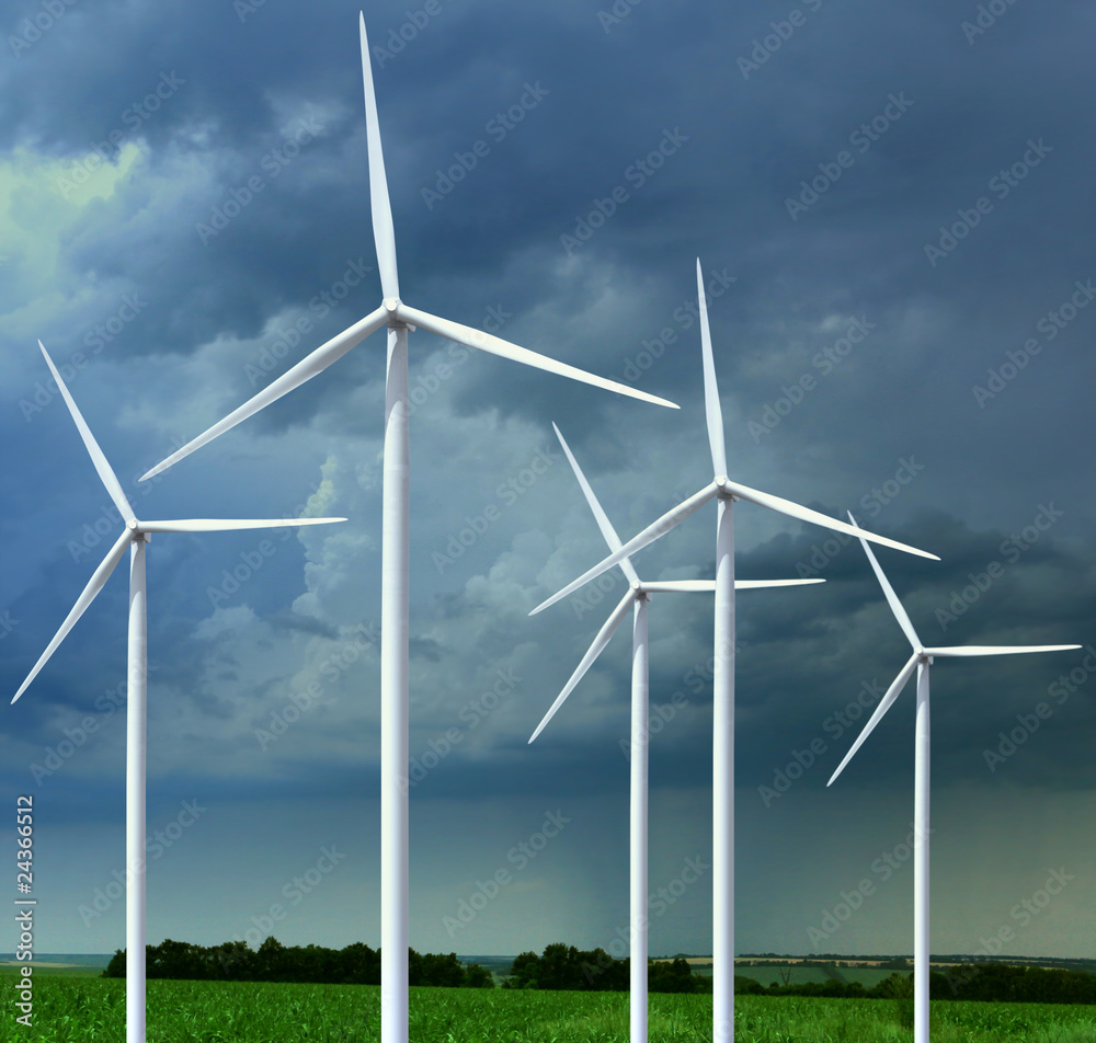 Fototapeta premium meadow with wind turbines