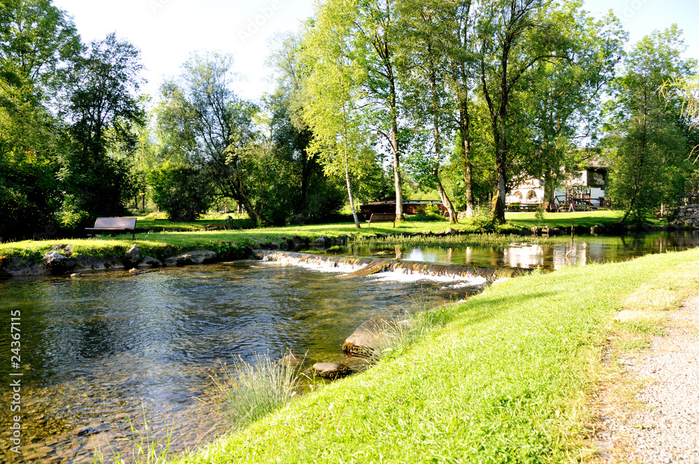 Fototapeta premium Bach im Alllgäu