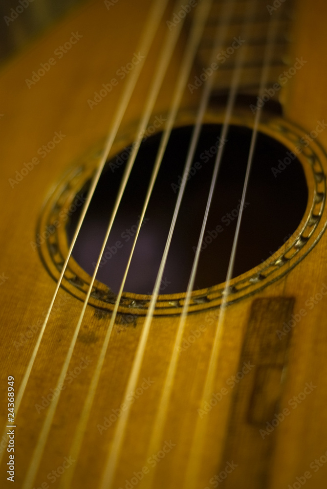 Obraz premium Renaissance minstrels lute