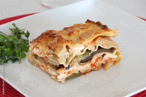 Vegetarian Lasagna © simas2