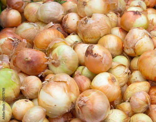 Onion pile