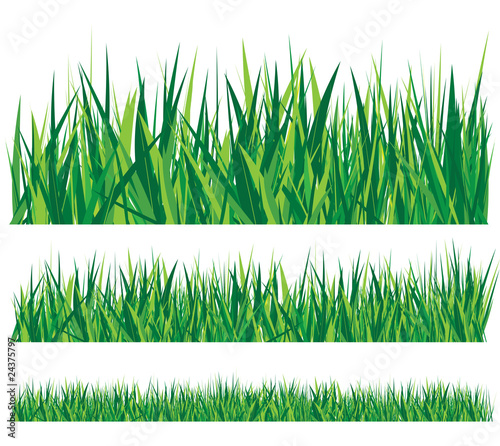 row of grass