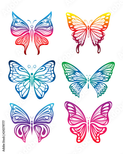 colorful butterfly © kuzzie
