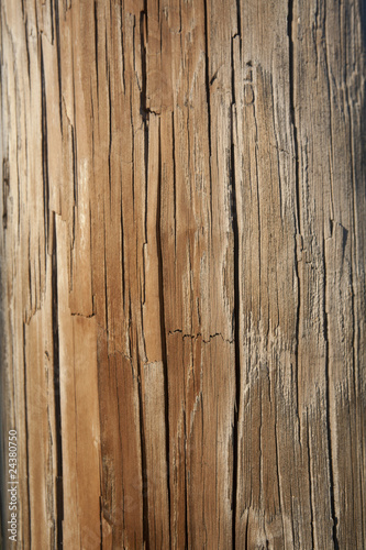 Schilderij op canvas Weathered Telephone Pole