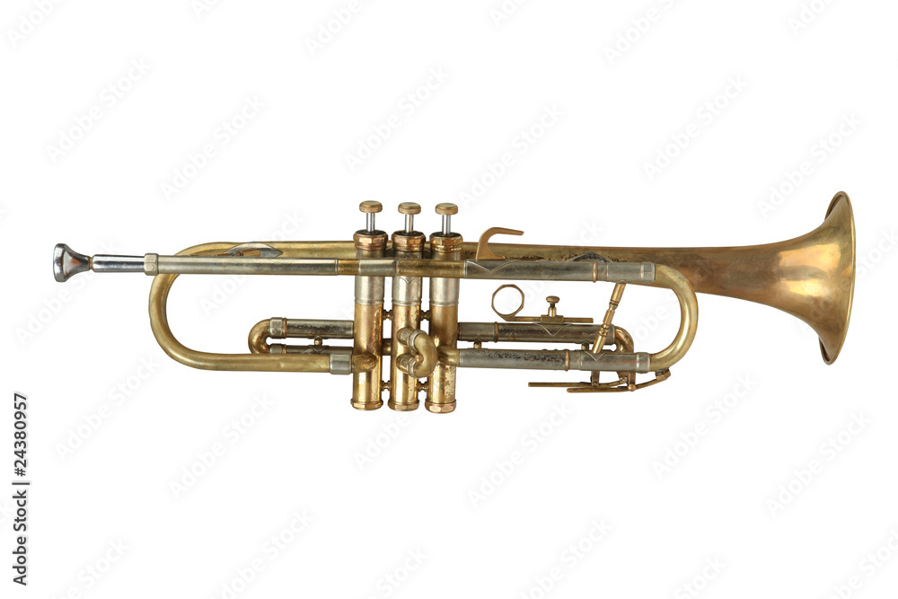 trumpet trumpet