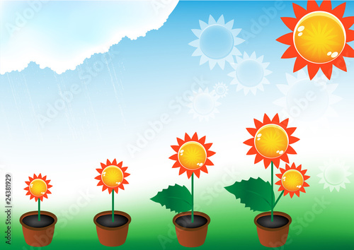 suns in flowerpots