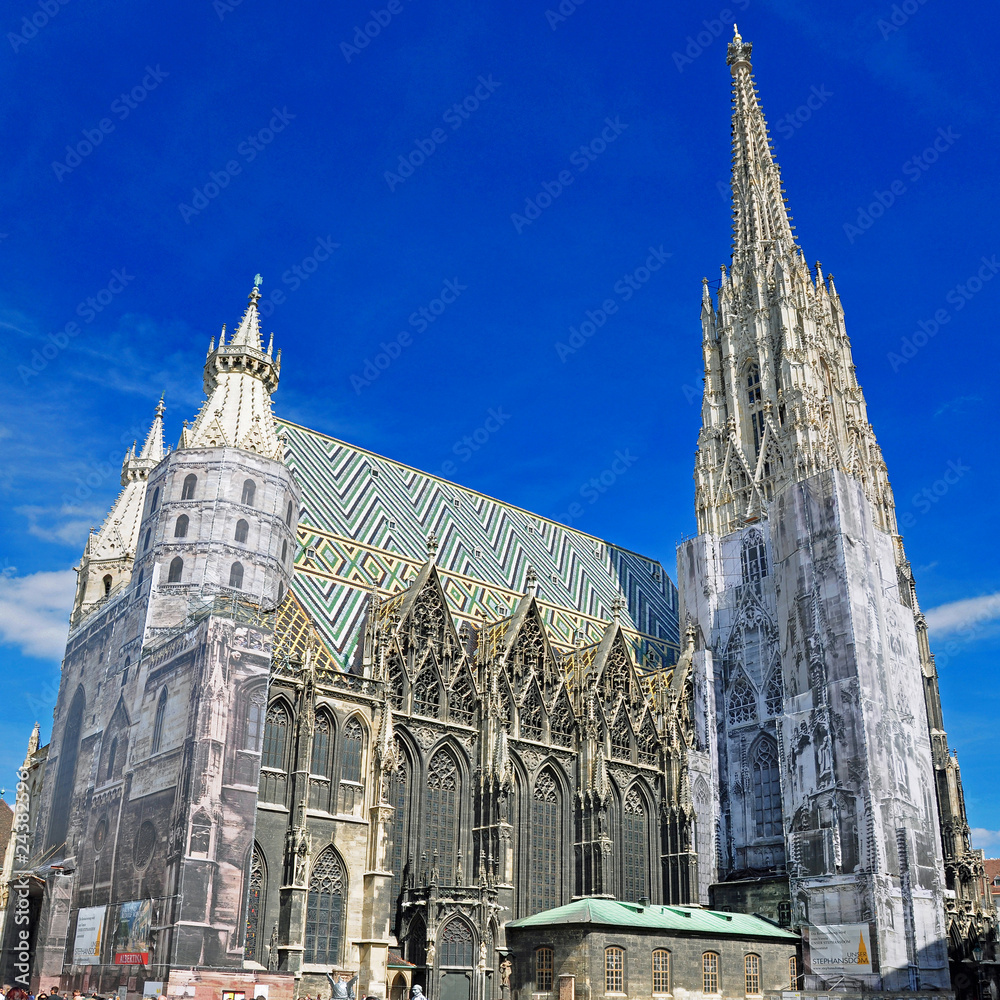 stephansdom in wien Stock Photo | Adobe Stock