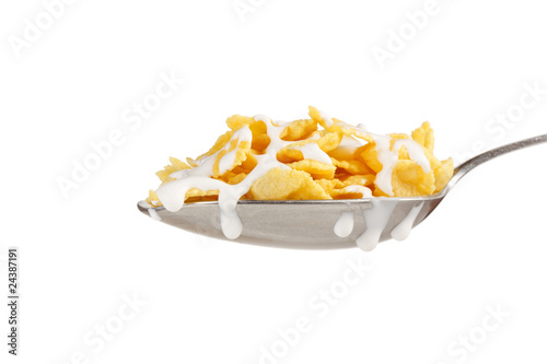 Corn flakes on the spoon with milk