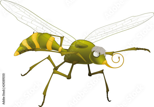 terrible mosquito