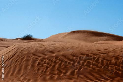 Deserto  natura morta Tunisia