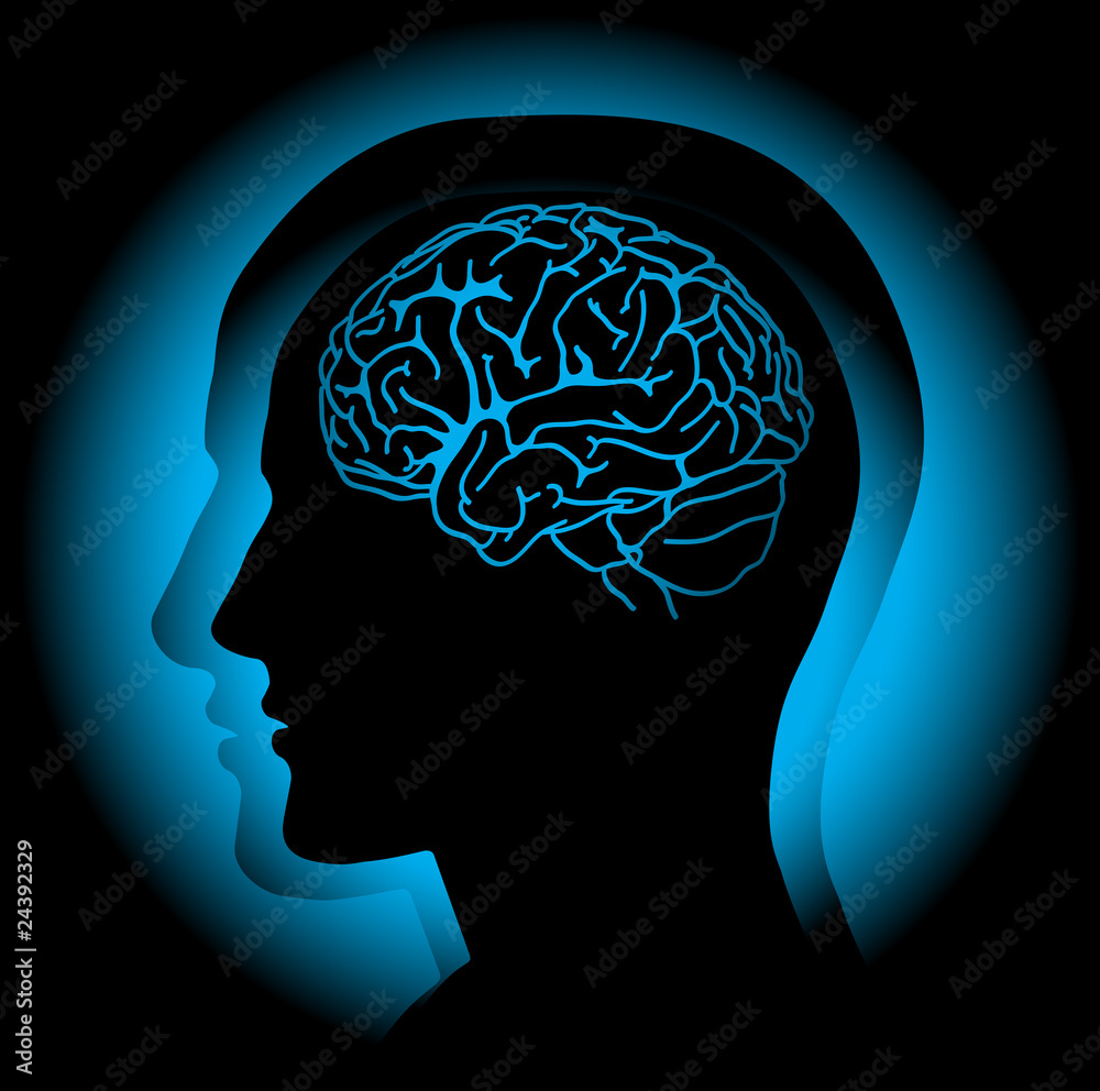 Obraz premium Brain