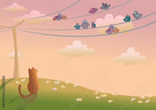 Cat and birds