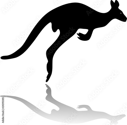 kangaroo silhouette photo