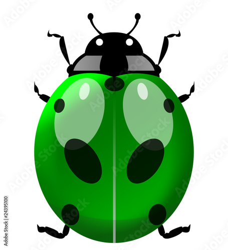 Green Coccinelle