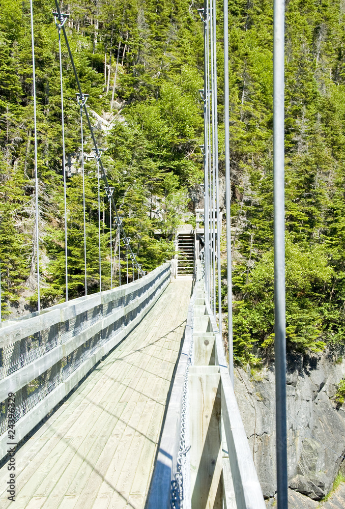 Obraz premium Suspension Bridge of La Manche, Newfoundland