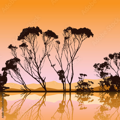Trees