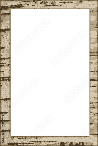 Birch frame vector
