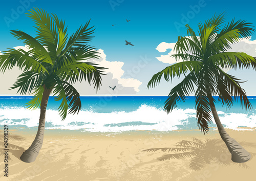 Tropical beach