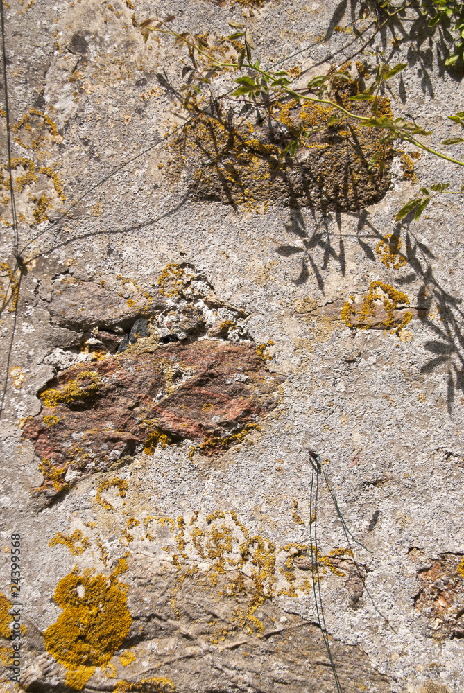 Obraz premium Mauerwerk