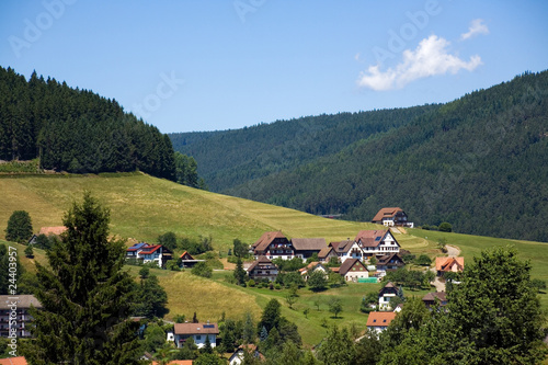 Schwarzwald , Baiersbronn im Sommer photo