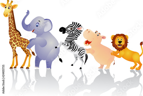 Funny animal