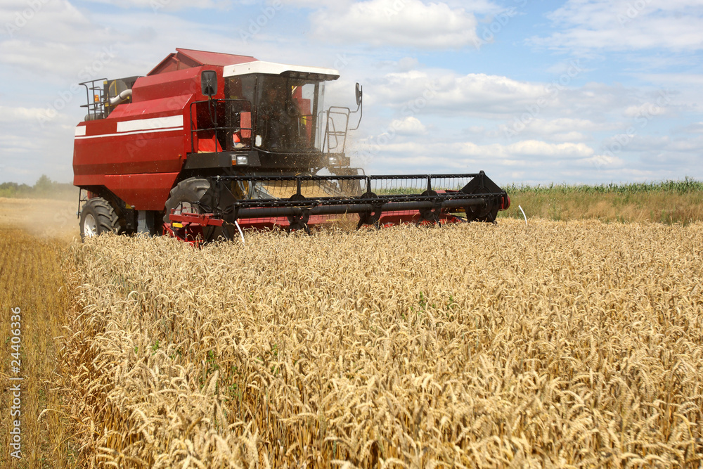Combine working on a wheat field