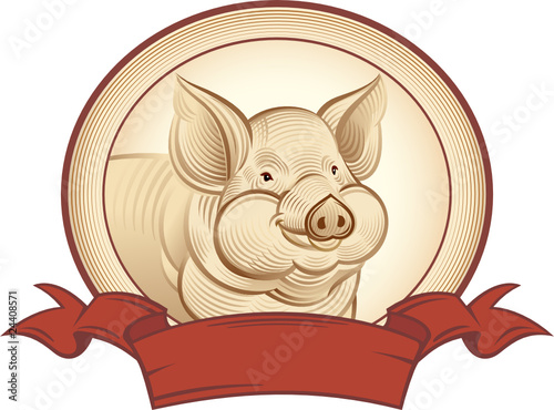 Graphical pig