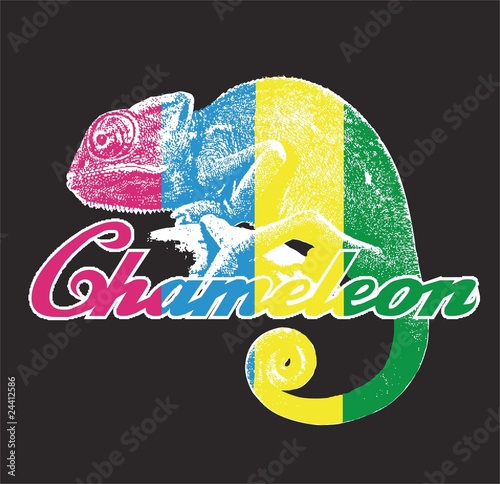 Chameleon 2