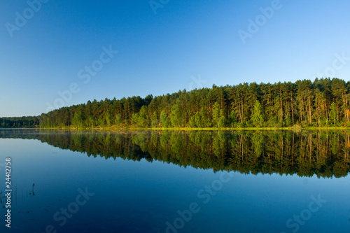 Summer landscape at the lake and forest with mirror reflection