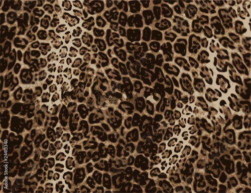 wild African animal skin texture