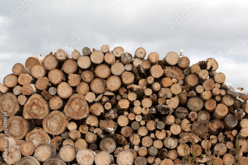 Firewood put in heap