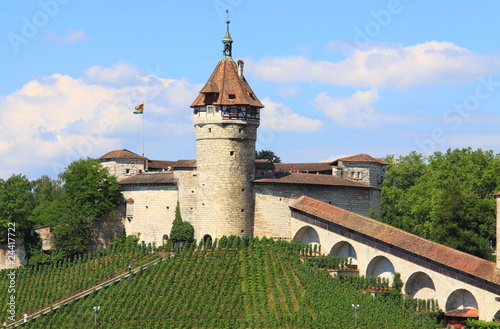 schloß, Schaffhausen