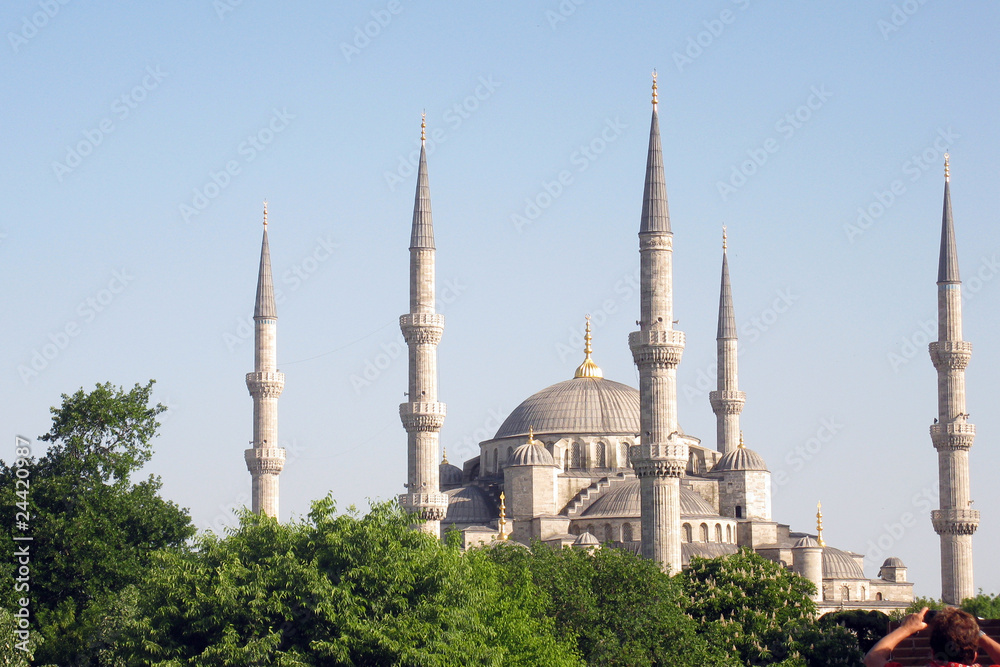 Fototapeta premium moschea blu