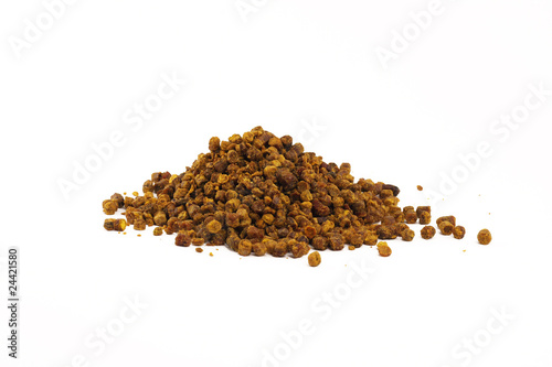 Photography Propolis