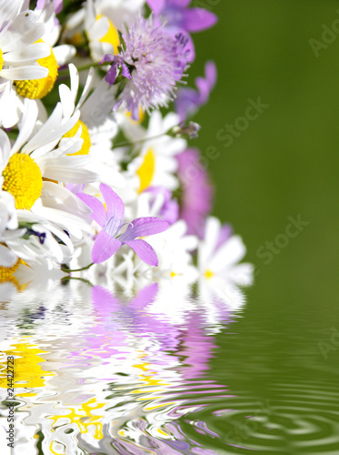 beautiful spring-flowers reflecting in the water