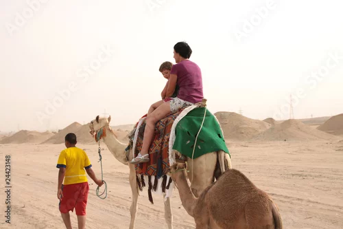 Fototapeta samoprzylepna people drive on camels