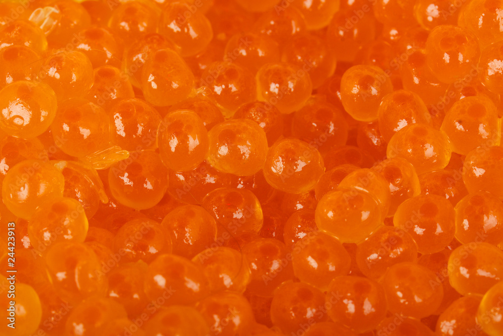 High Quality Red Caviar High Quality Red Caviar