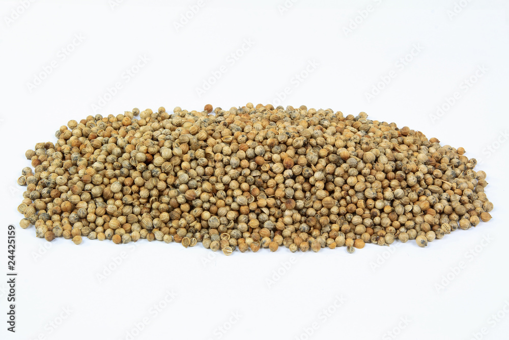 Seeds of coriander on pile. Seeds of coriander on pile.