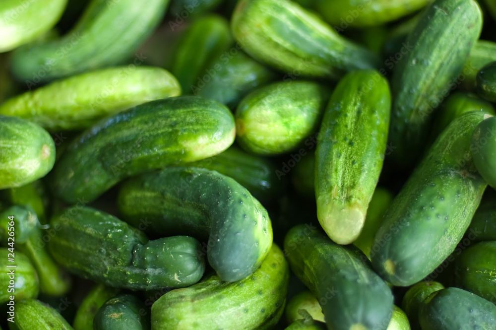 Cucumbers on a market Cucumbers on a market