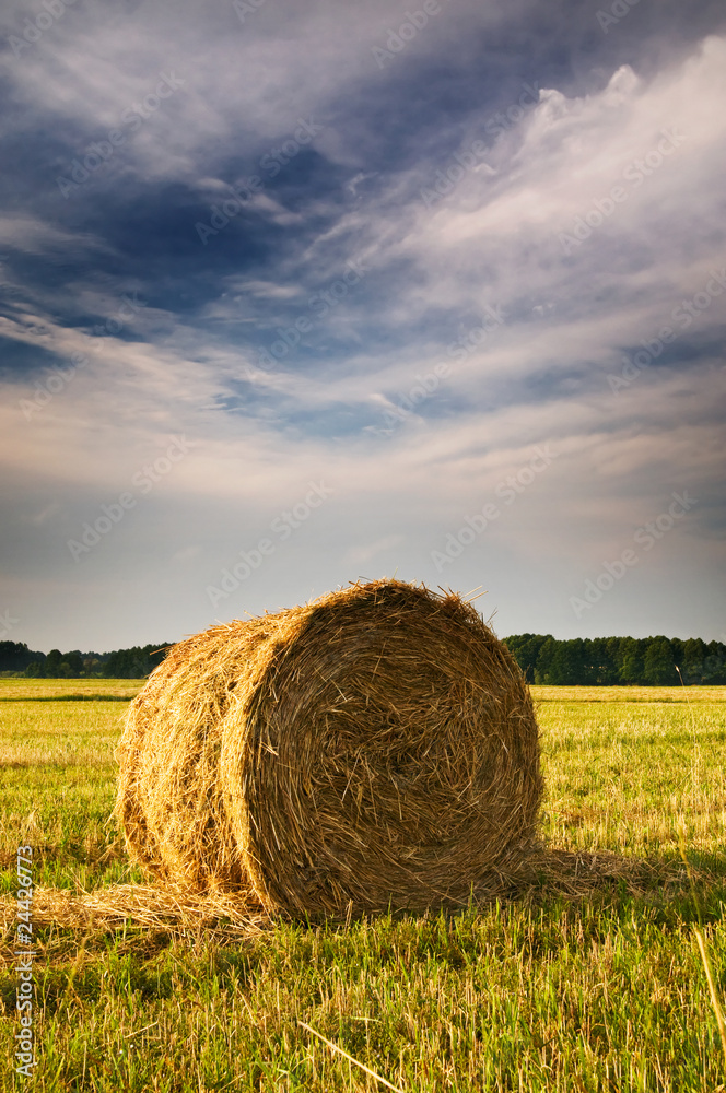 Beautiful stubble field with hay bales by summer.