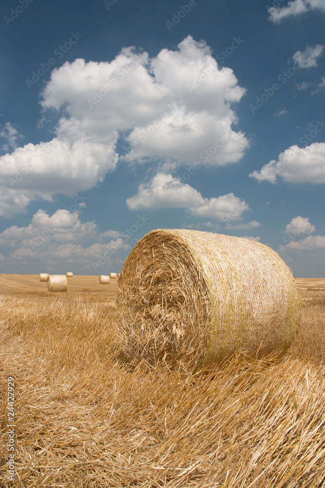Agriculture - Haystack
