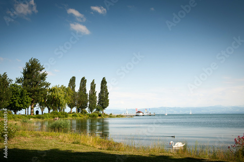 Blick auf den Bodensee bei Immenstaad photo