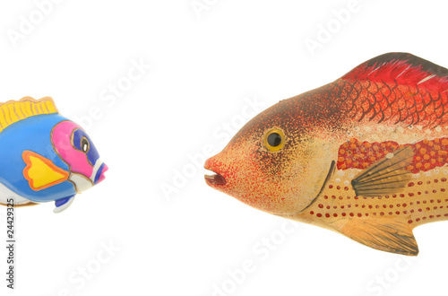 Two model fish