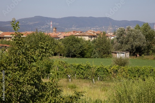 S. Mauro landscape2