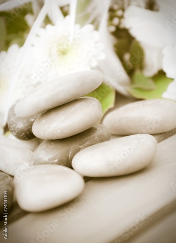 Pebbles, white flowers