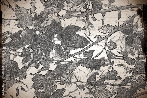 salvapantallas naturaleza romantic. nature antique botanical