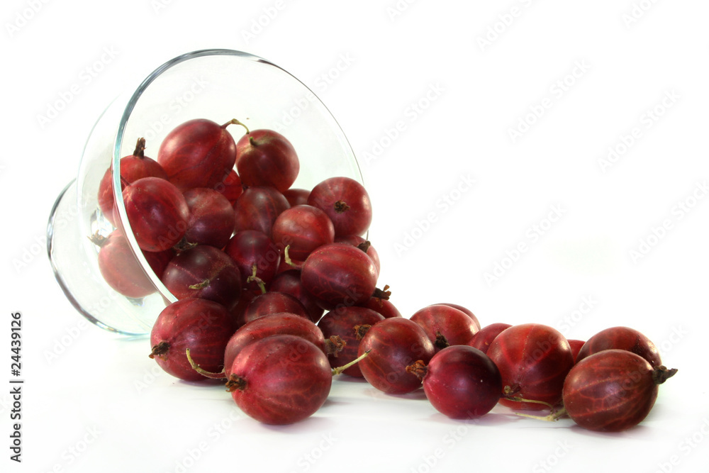 Stachelbeeren Stachelbeeren