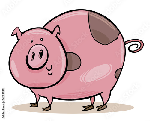 farm animals: spotted pig